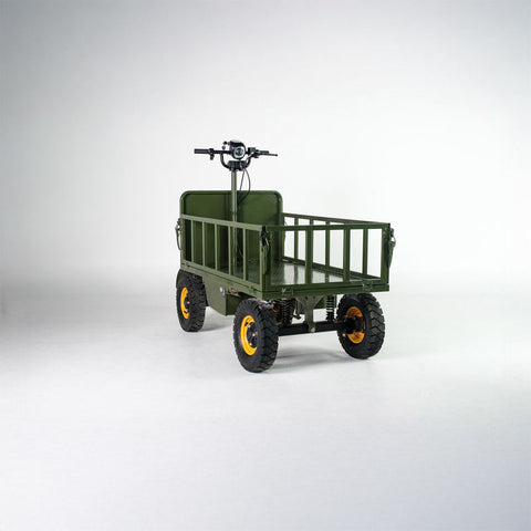 All-Terrain Buggy