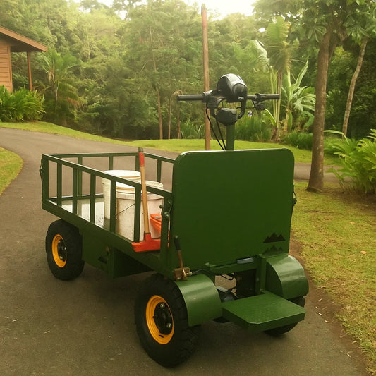 All-Terrain Buggy
